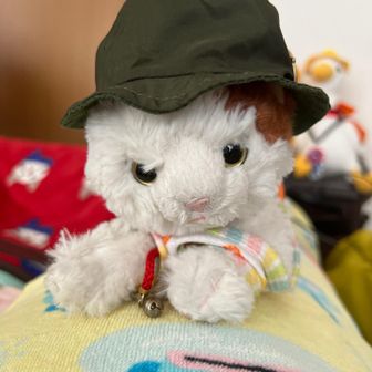 ミニみーちゃんと愉快な仲間たち