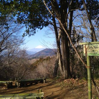 「八国見山」
駿河、伊豆、甲斐、相模、武蔵、安房、下総、上総
これら八国が、見渡せるのかな？？