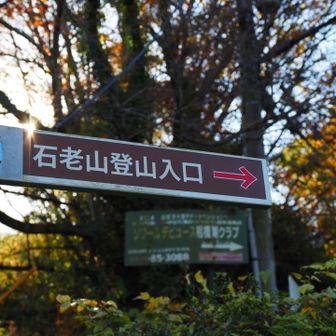 ここからスタート