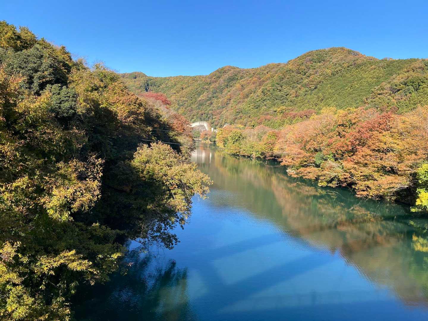 波久礼駅の手前に大きな橋が〜
影に私も写り込んでいますね🤭