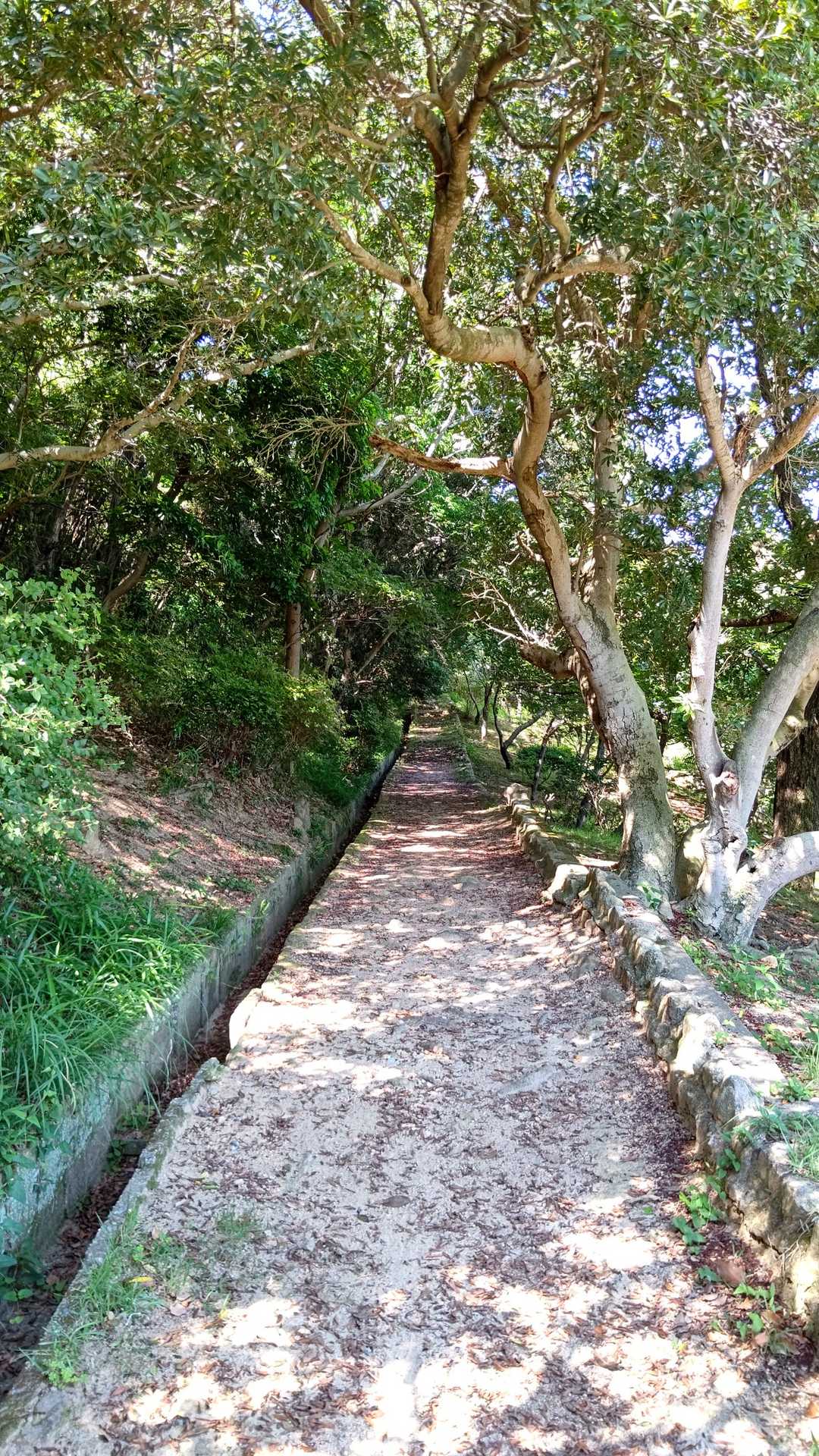 須磨浦公園駅-旗振山-鉄拐山-山陽須磨駅 縦走コースの写真