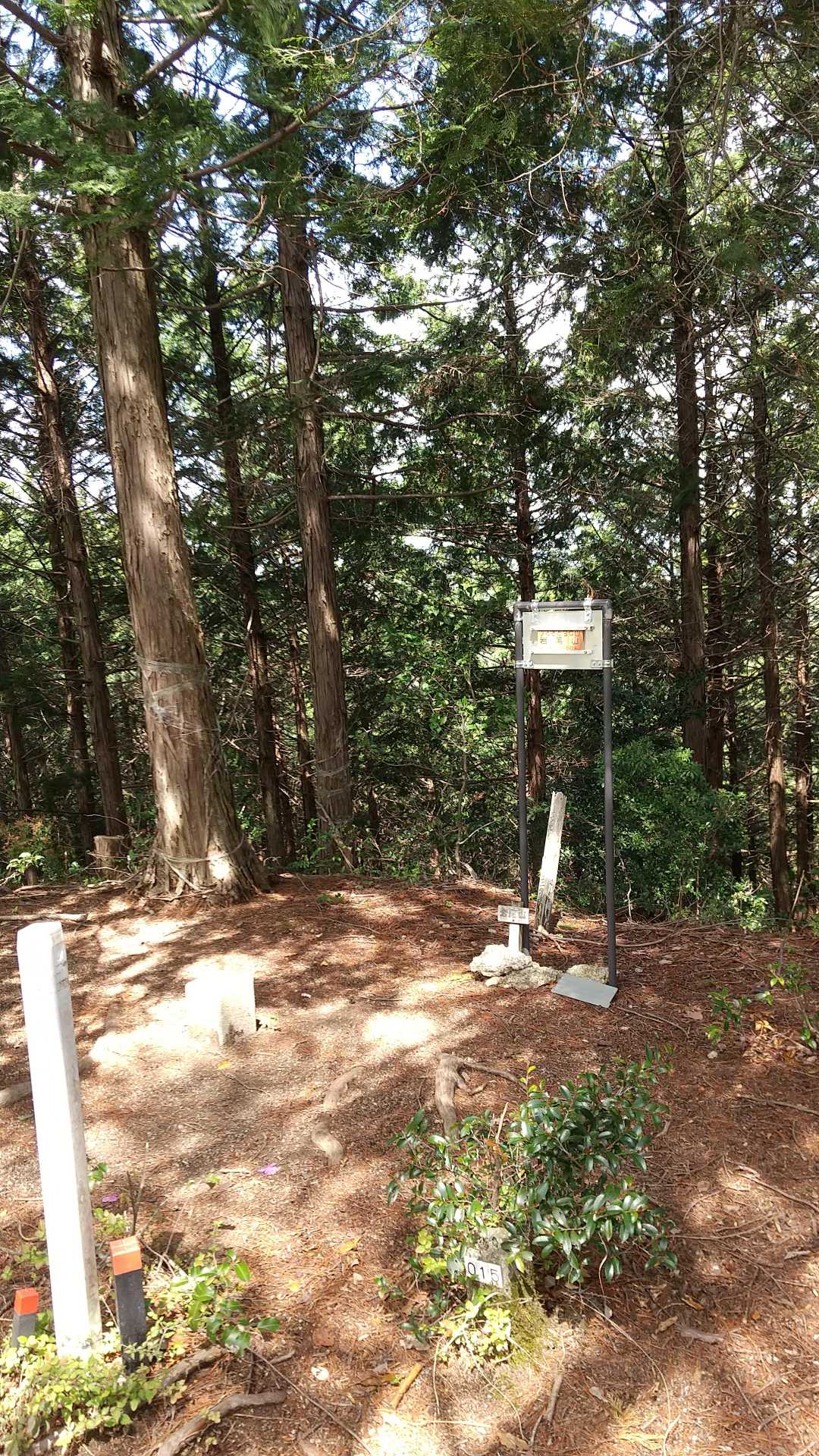 息障寺-岩尾山 往復コースの写真