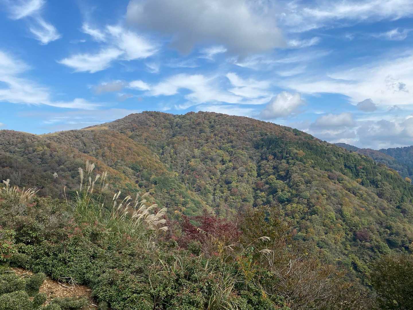 倉見登山口-三十三間山-轆轤山-ゲート 周回コースの写真