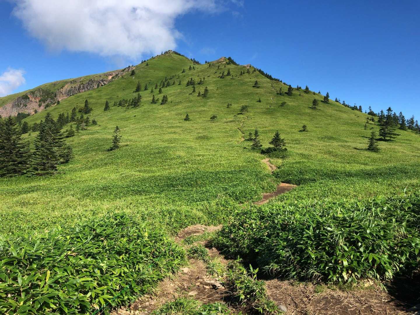 菅平牧場-四阿山登山口-小四阿-中四阿-四阿山-根子岳 周回コースの写真