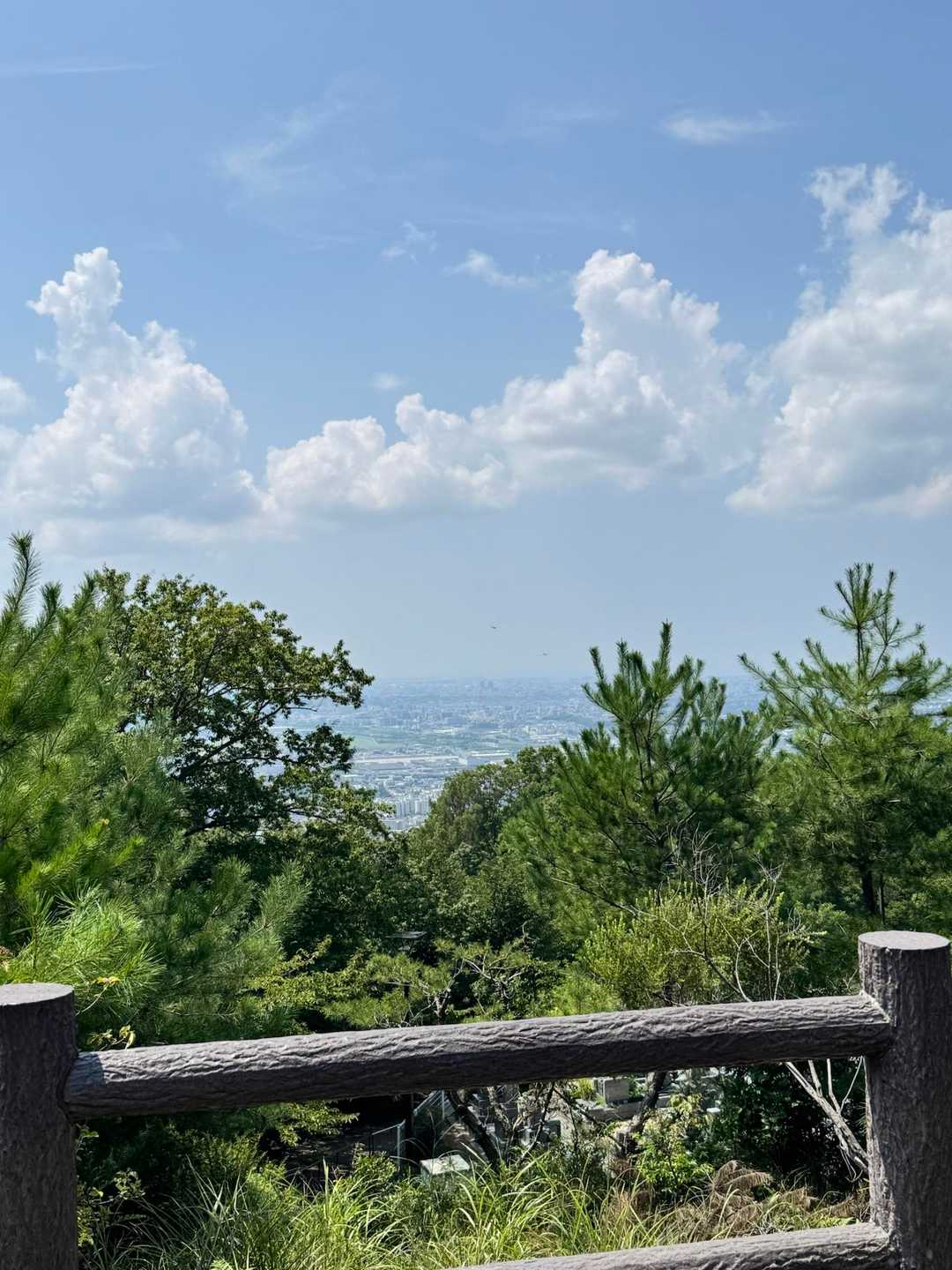 五月山公園大広寺バス停-五月山 往復コースの写真