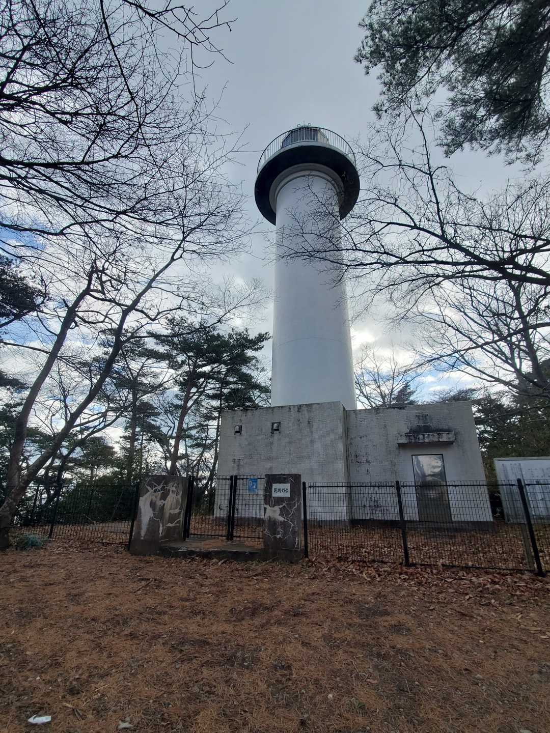 なんと灯台がありました！こいつは予想外の景色だね。