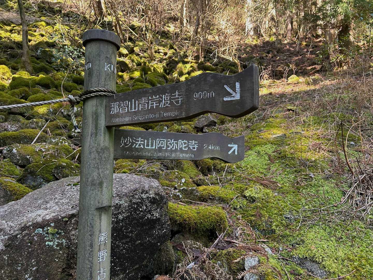 かけぬけ道の写真