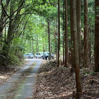 明神山駐車場🅿️

写真右手の駐車スペースに車を停めて、
三ッ瀬明神山へ向かってスタートするも、
　↓
この駐車スペースには空きがあるのに、
先の方で、縦列駐車しているのに気付く。
　↓
もしかして、写真右手の駐車スペースは、
キャンプ場の駐車場かも🦆❓
　↓
と言う事で、
宇連ダム駐車場🅿️に車で戻って、
仕切り直しする事にしました😮‍💨