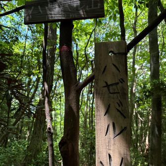 三座目ハゼバル山🏔️ 眺望なし