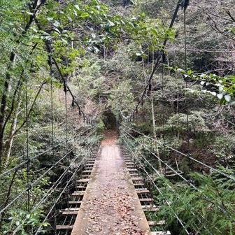 吊り橋を渡る💨高所恐怖症だから怖い😱