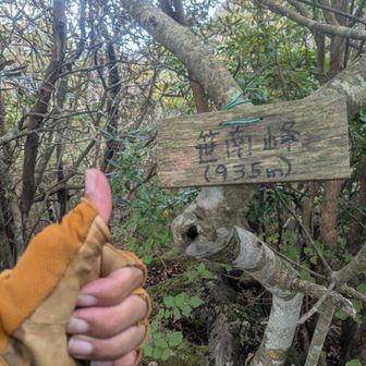 ここに行く気なかったけど、登山道間違えていたので、ついでに寄ってみました🫣