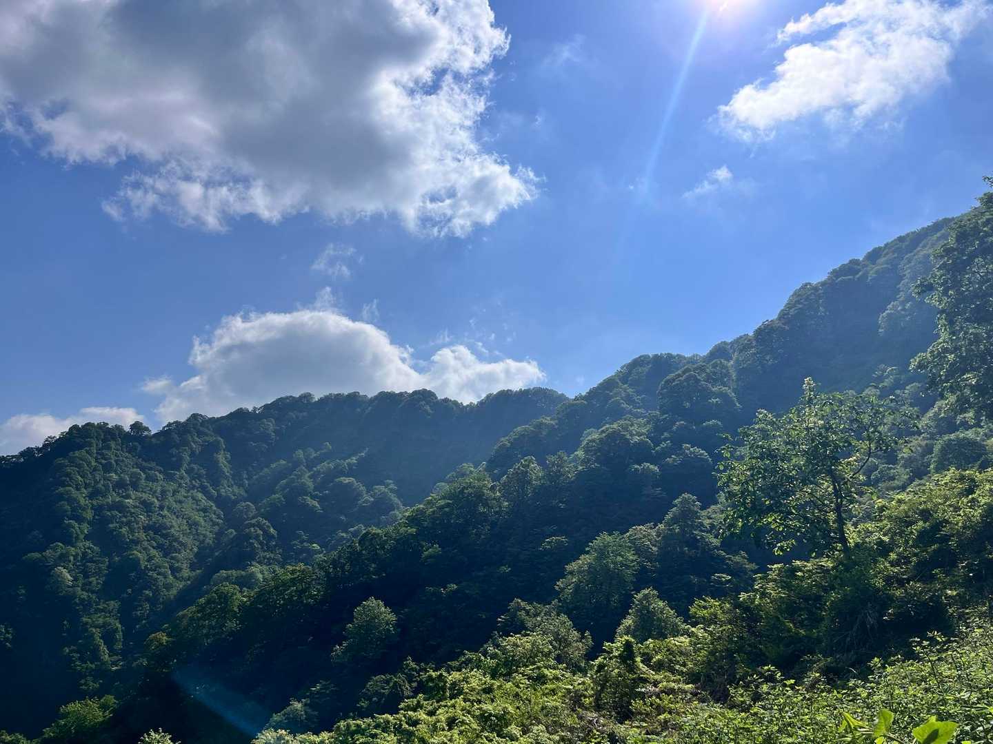 これから行く鋸かな？
なんせ初めてでよくわからない
