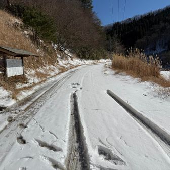 100mほど先から右手に登山道。