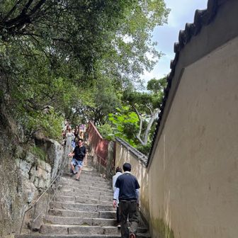 展望台へ向かいます。