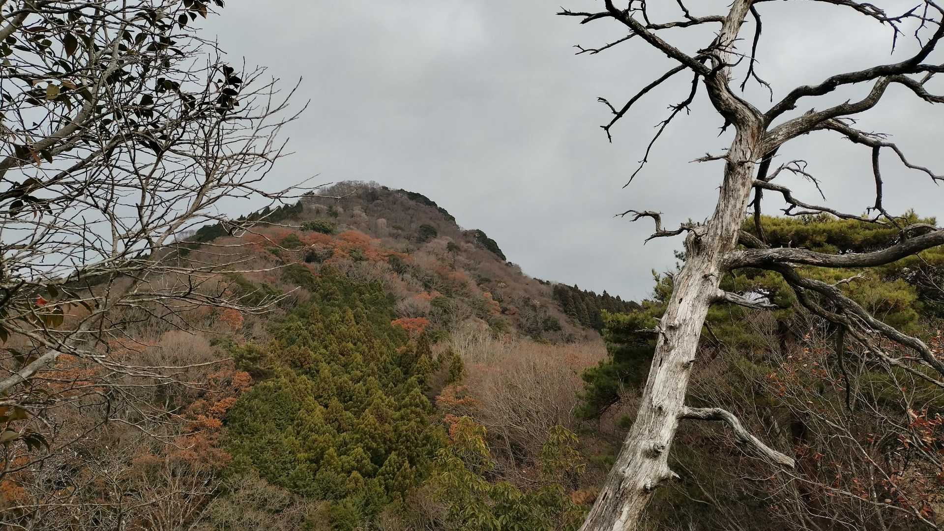 あそこ登った