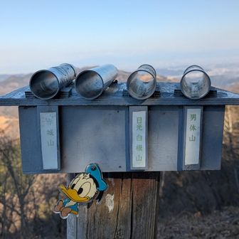 こういうのは心が綺麗な人しか見えないものです😆