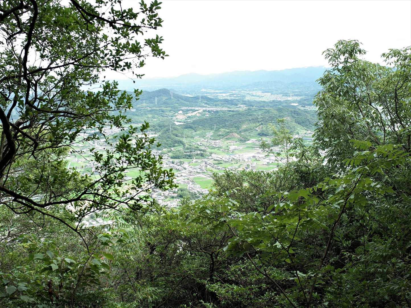 飯山町登山口-飯野山 往復コースの写真