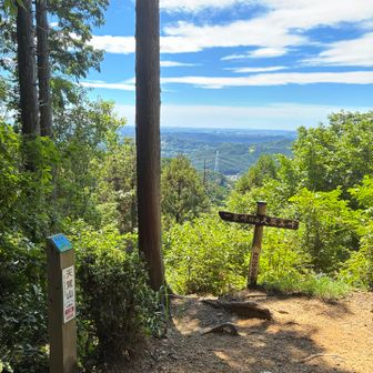 天覚山。都心の高層ビルがニョキニョキ生えているのが一望です。