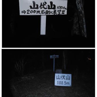 縦走路は、はっきり言って、真っ暗と言うのも有りますが…木🌳だらけ急坂で、よく分からな〜い🤣
つまり、私的、不明瞭縦走路😵‍💫
今の私にピッタリな言葉は『暗中模索』🤣

は〜い❤
山伏山⛰️山頂✨️

スペースが有り、200m先に展望岩🪨があるそうですが、本日は、もう余裕が無いので、そそくさ次へ🐾💨

まっ🙄
展望岩🪨行っても、恐らく、真っ暗で何も見ないからね🤣


