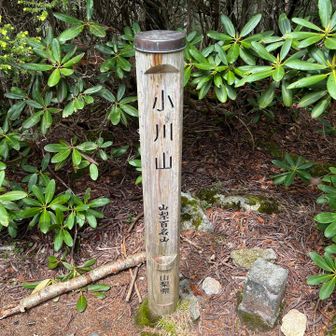 ようやく小川山(山梨百、信州百)到着しました🙌