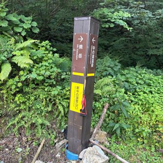 登山口に戻って来ました
