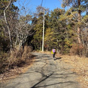 しばらく舗装路