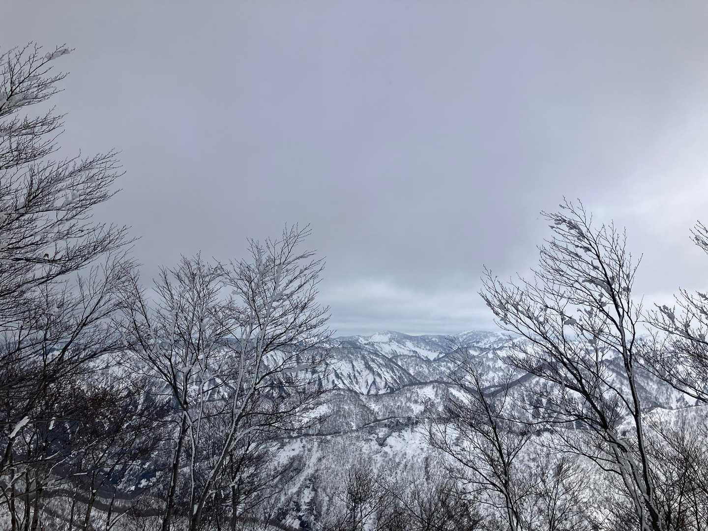 銀太郎山
