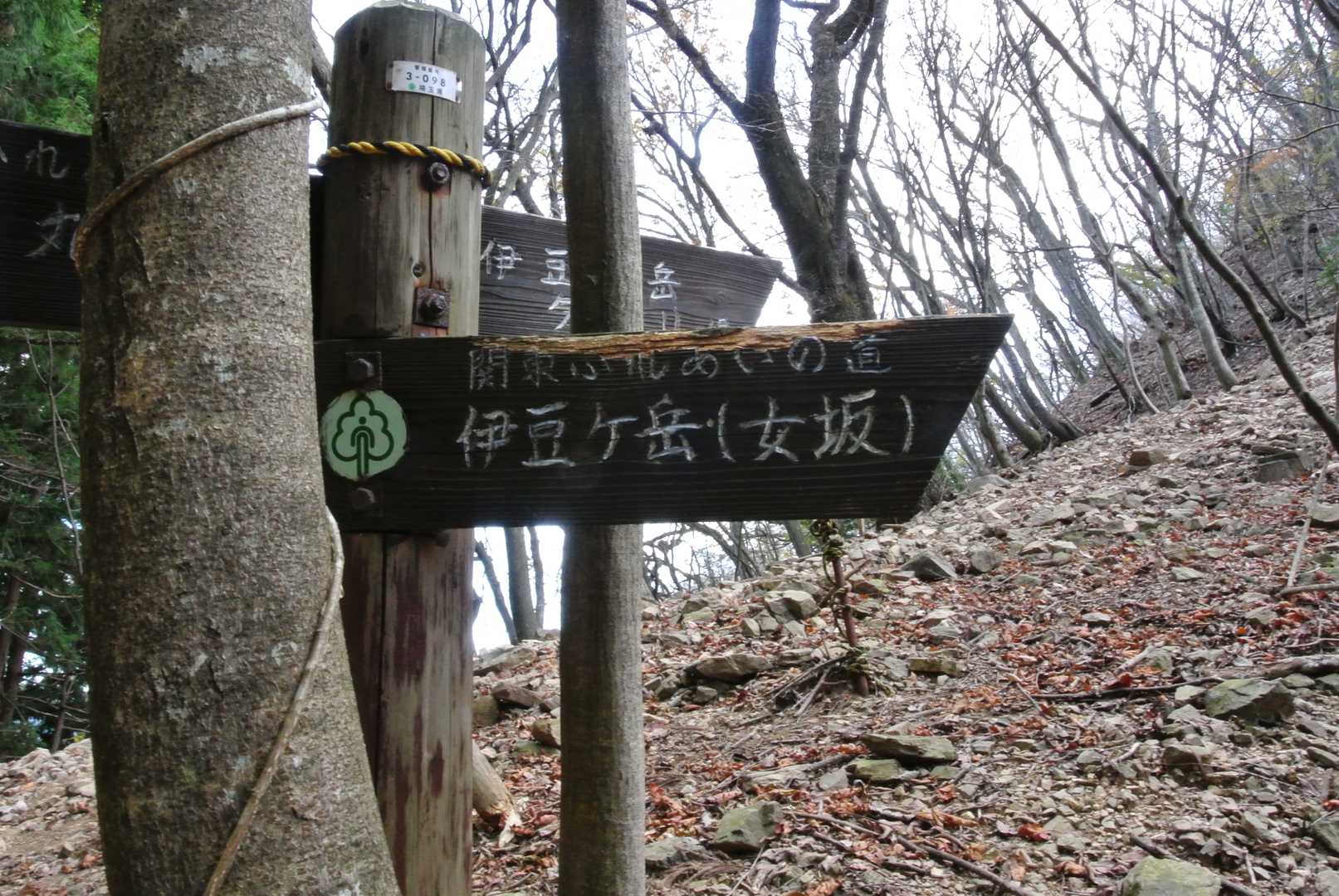 ここは迷わず女坂へ。