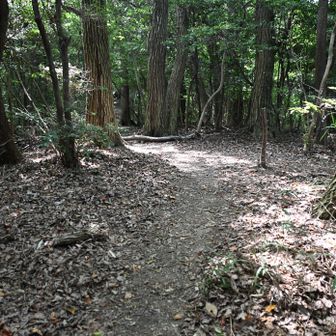 銀峰、コースここに、合流