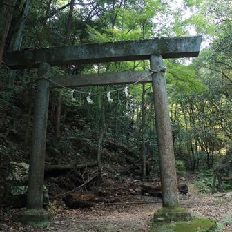 玉野御嶽神社の鳥居⛩️