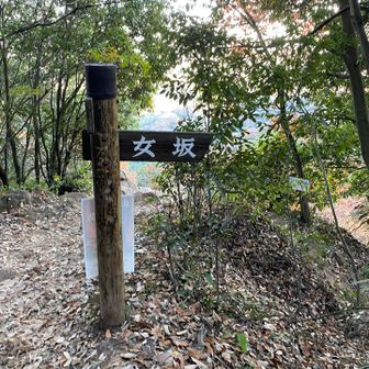 今日は、女坂ではなく