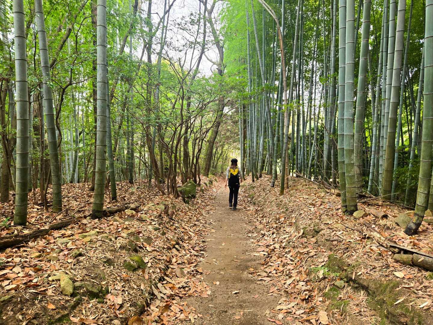 ずっと落ち葉を掃いてくれてたおじさまがいました👀🙌
すっごく歩きやすくなってました！！ありがとうございます🙏✨️