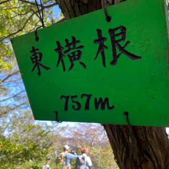 続いて東ヨコネ。
横寝は...封印しました〜😆