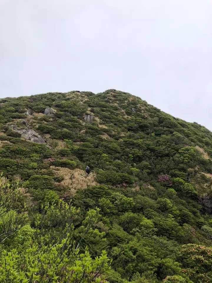国見岳の写真