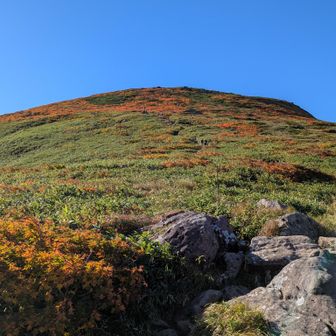 素晴らしい景色。