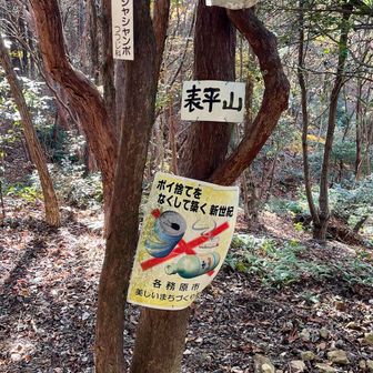 表平山の山頂！
景観はなし…