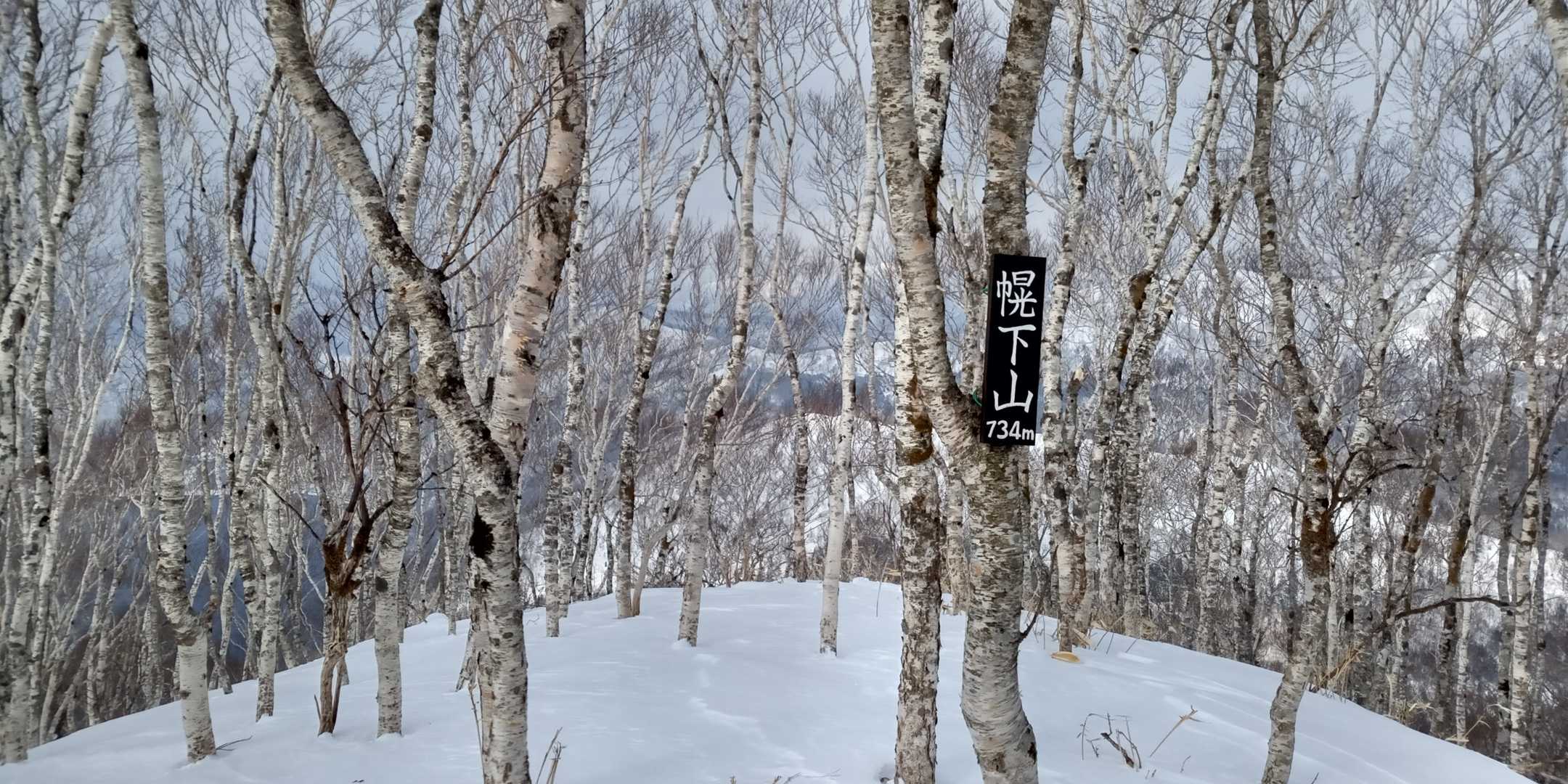 おー山頂標識❇️初めまして🔰