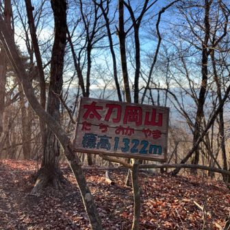 YAMAPではこちらが「太刀岡山」となっています🤔