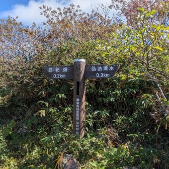 お花畑コースとの分岐点
どっちから山頂を目指してもオッケーです！