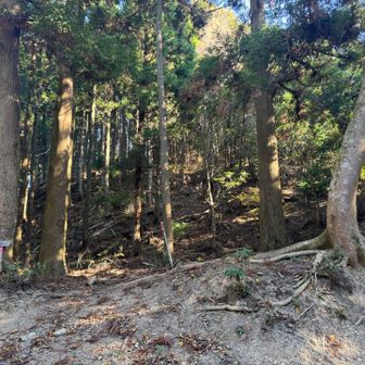 三郡から降りて来ました。いつもコース通りの道がわからず結局林道まで降りて来ました。