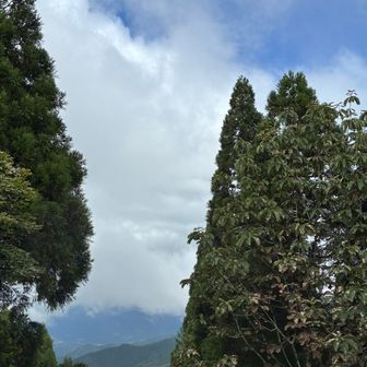 青空見えた💙
