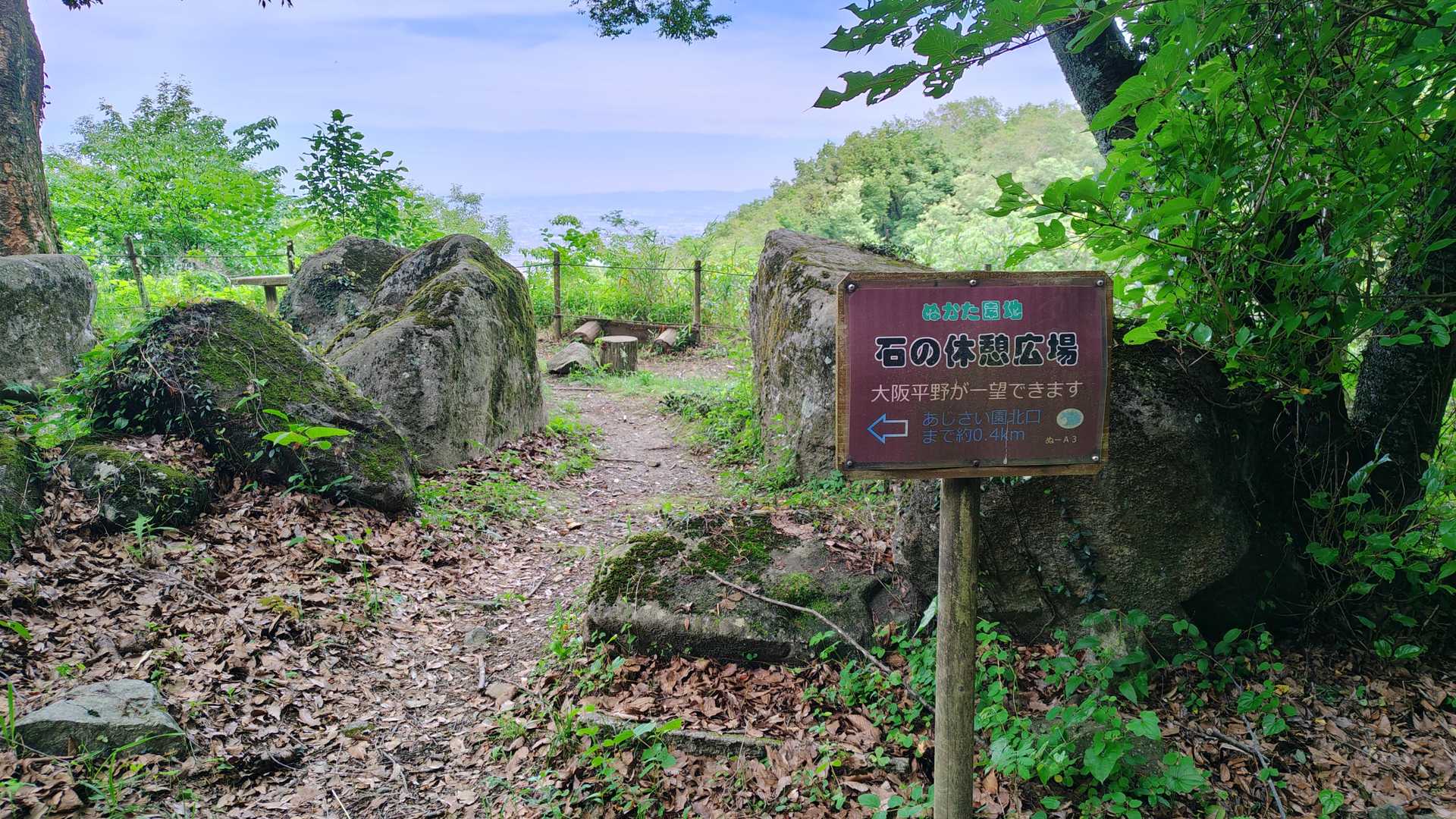 本日の最高地点付近
ここから先は、ご褒美の下り基調
(往路はですが...)