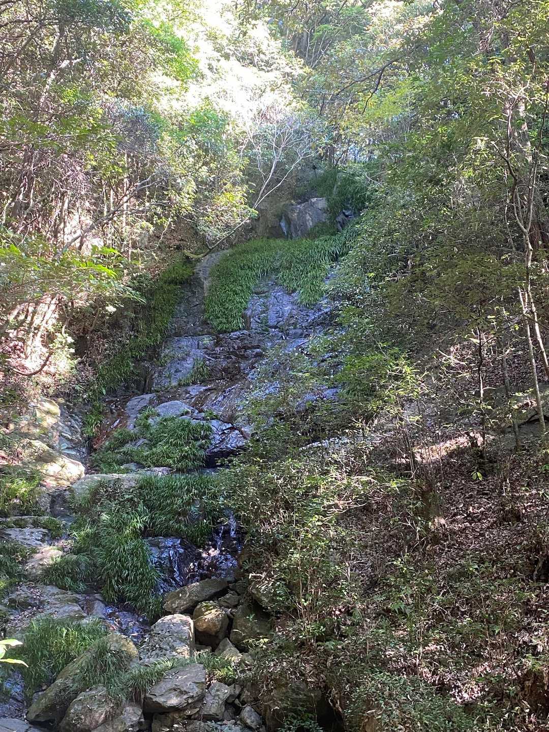 本宮高倉山 往復コースの写真