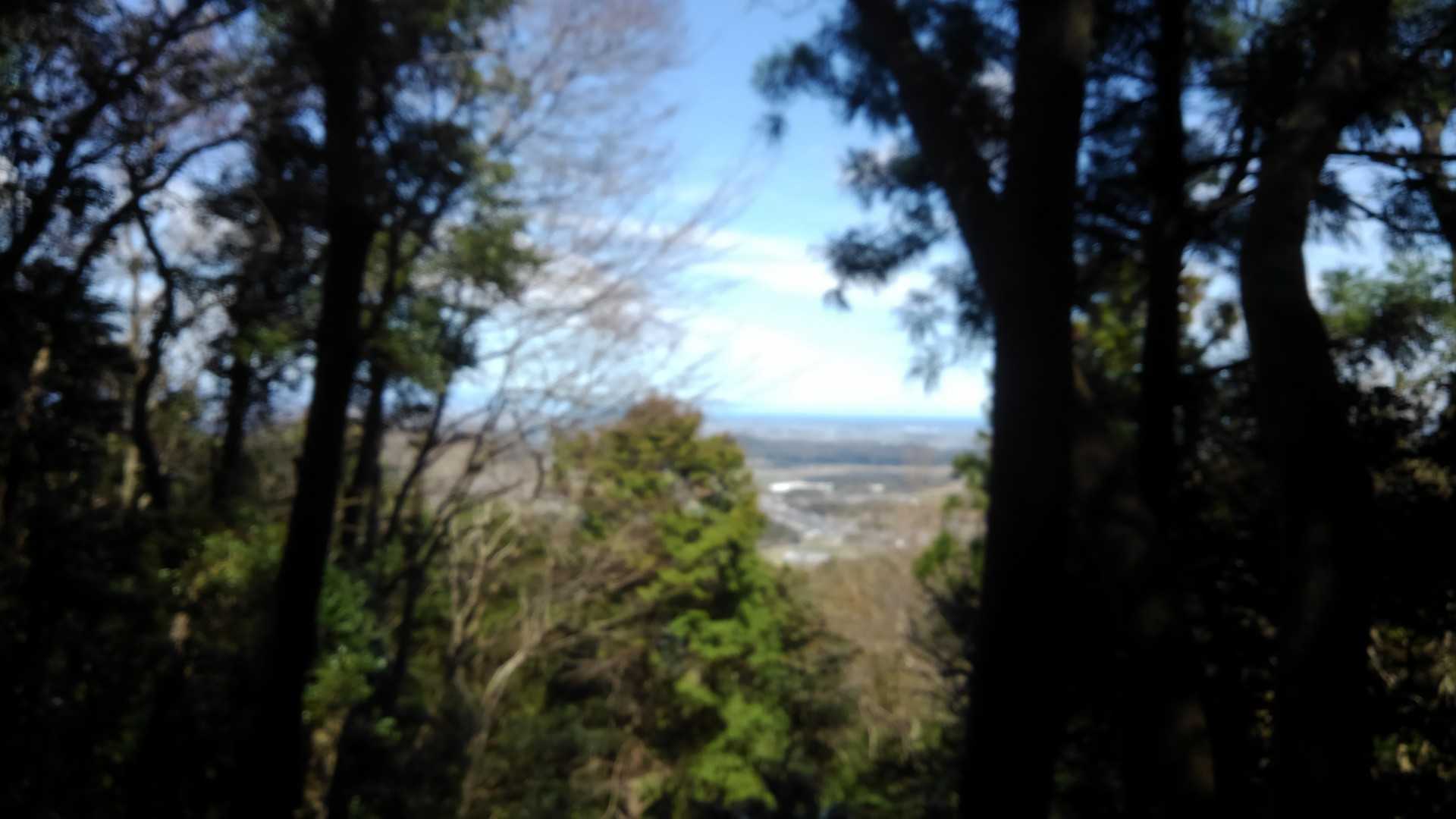 国束山 往復コースの写真
