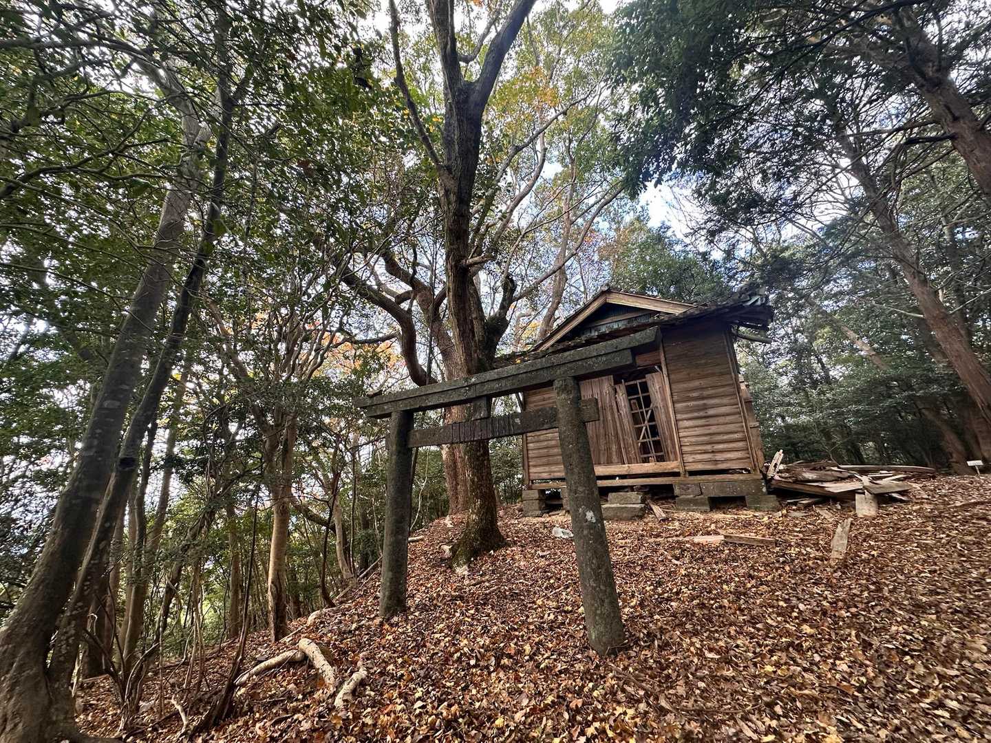 ツルガ山🏔
山頂には鳥居⛩と壊れかけたお社あり🙏