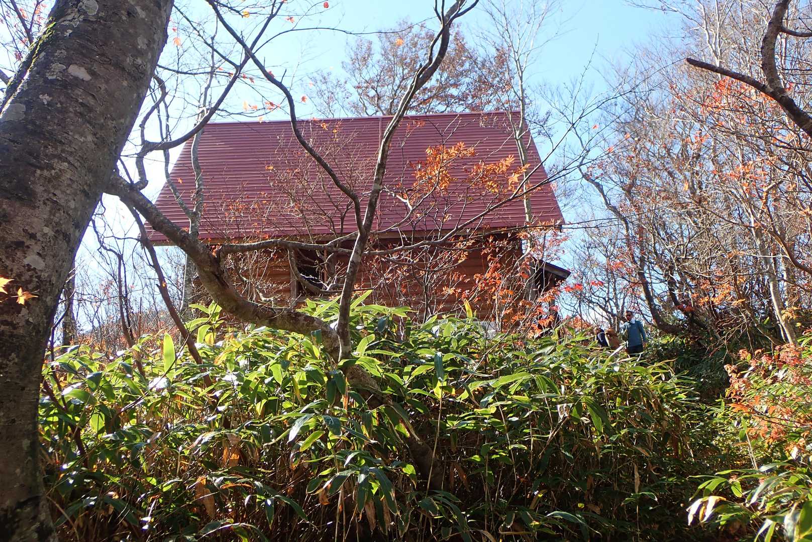 ランチ会場
カタクリ小屋に着きました。