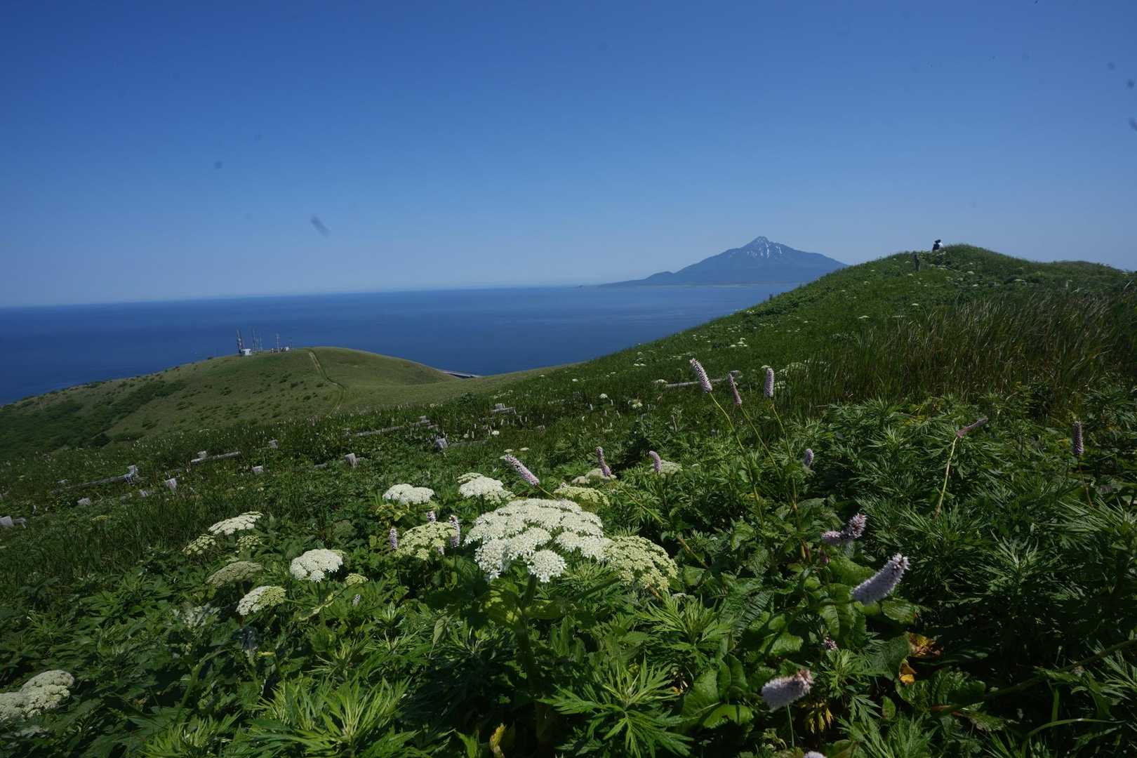 桃岩展望台登山口-キンバイの谷-つばめ山-元地灯台 縦走コースの写真