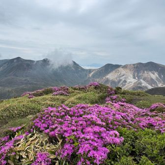 南峰から見る風景。左から中岳、天狗ケ城、雲に隠れて久住山。低いところがくじゅう分かれ。右に星生山と硫黄山。（先週歩いたし、ようやくわかるようになってきたぞ。）
