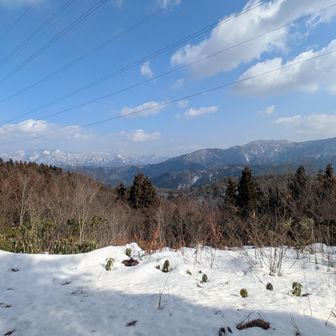 白山展望台に到着