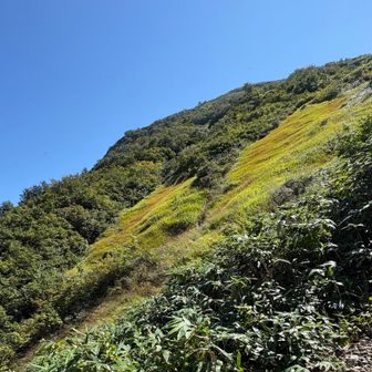 浅草岳はいつの間にか通り過ぎてた